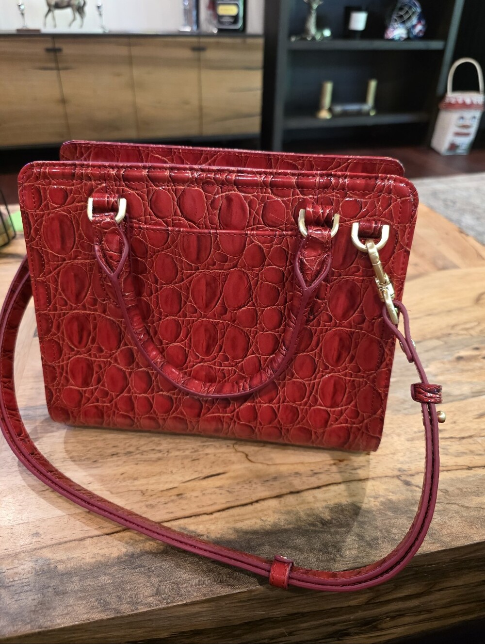 Brahmin Cami Bag ONLY!! Sriracha. NWOT. - Picture 3 of 8